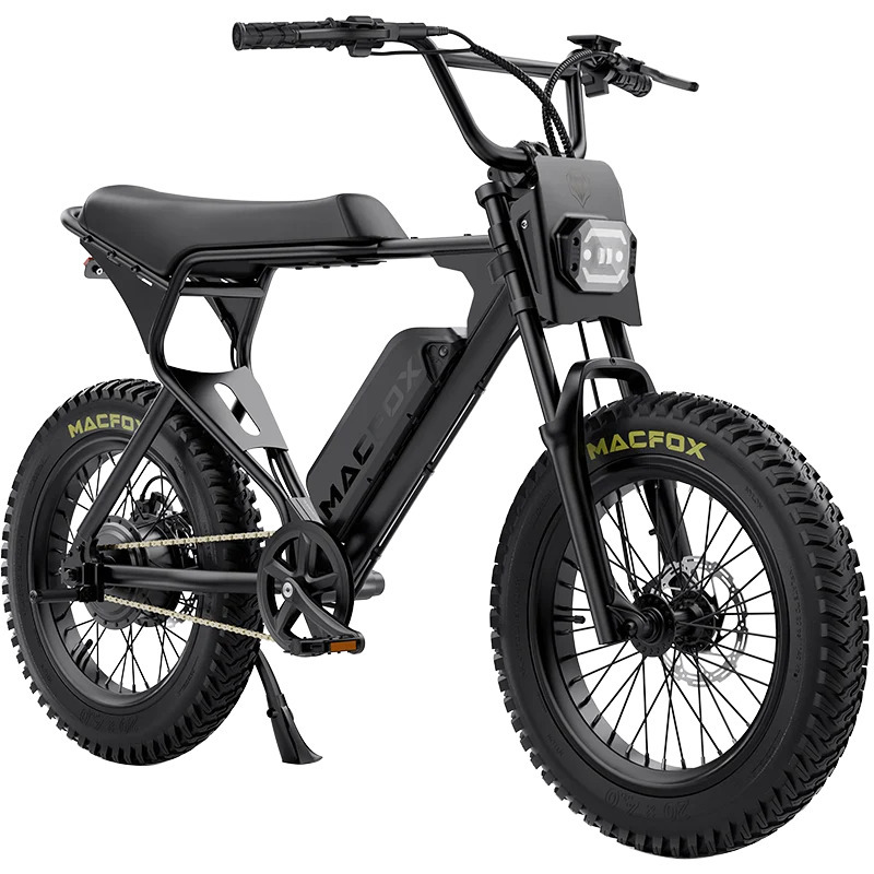 Fatbike elektrobicykle